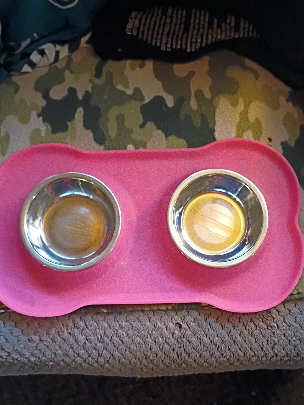 Small Dog Bowls With Silicone Mat
